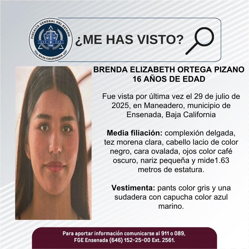 pesquisa_brenda_elizabeth_ortega_pizano_16