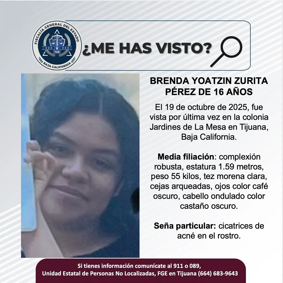 pesquisa_brenda_yoatzin_zurita_pérez_16