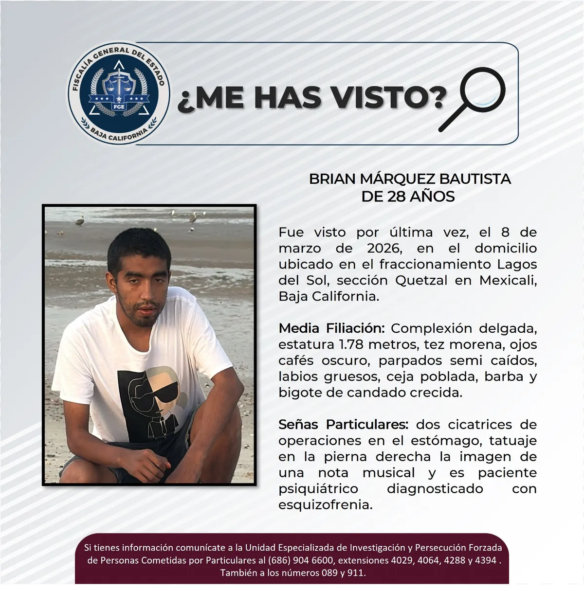 pesquisa_brian_márquez_bautista_28