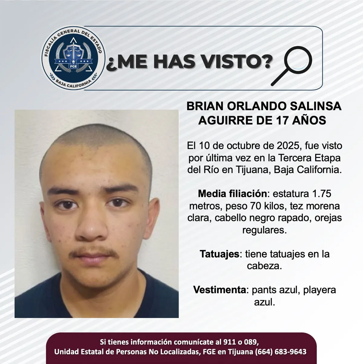 pesquisa_brian_orlando_salinsa_aguirre_17
