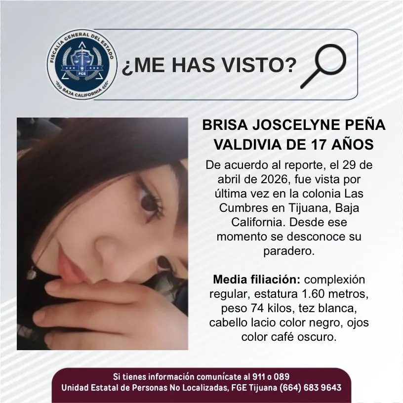pesquisa_brisa_joscelyne_peña_valdivia_17