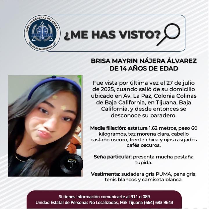 pesquisa_brisa_mayrin_nájera_álvarez_14