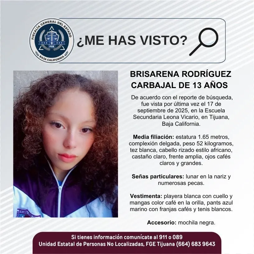 pesquisa_brisarena_rodríguez_carbajal_13