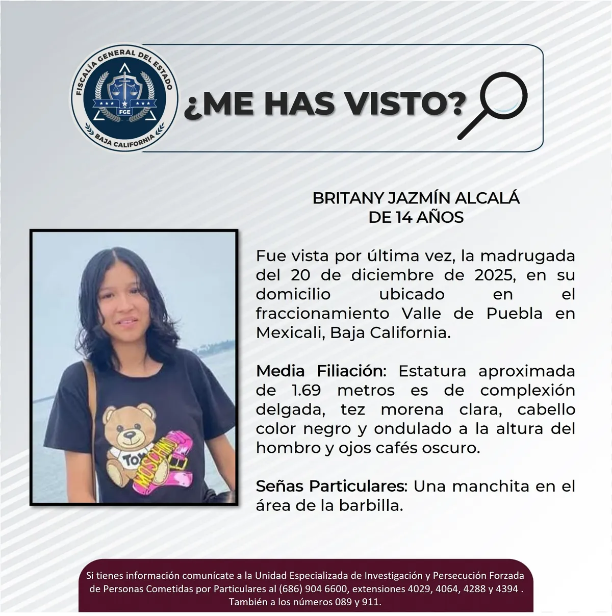 pesquisa_britany_jazmín_alcalá_14