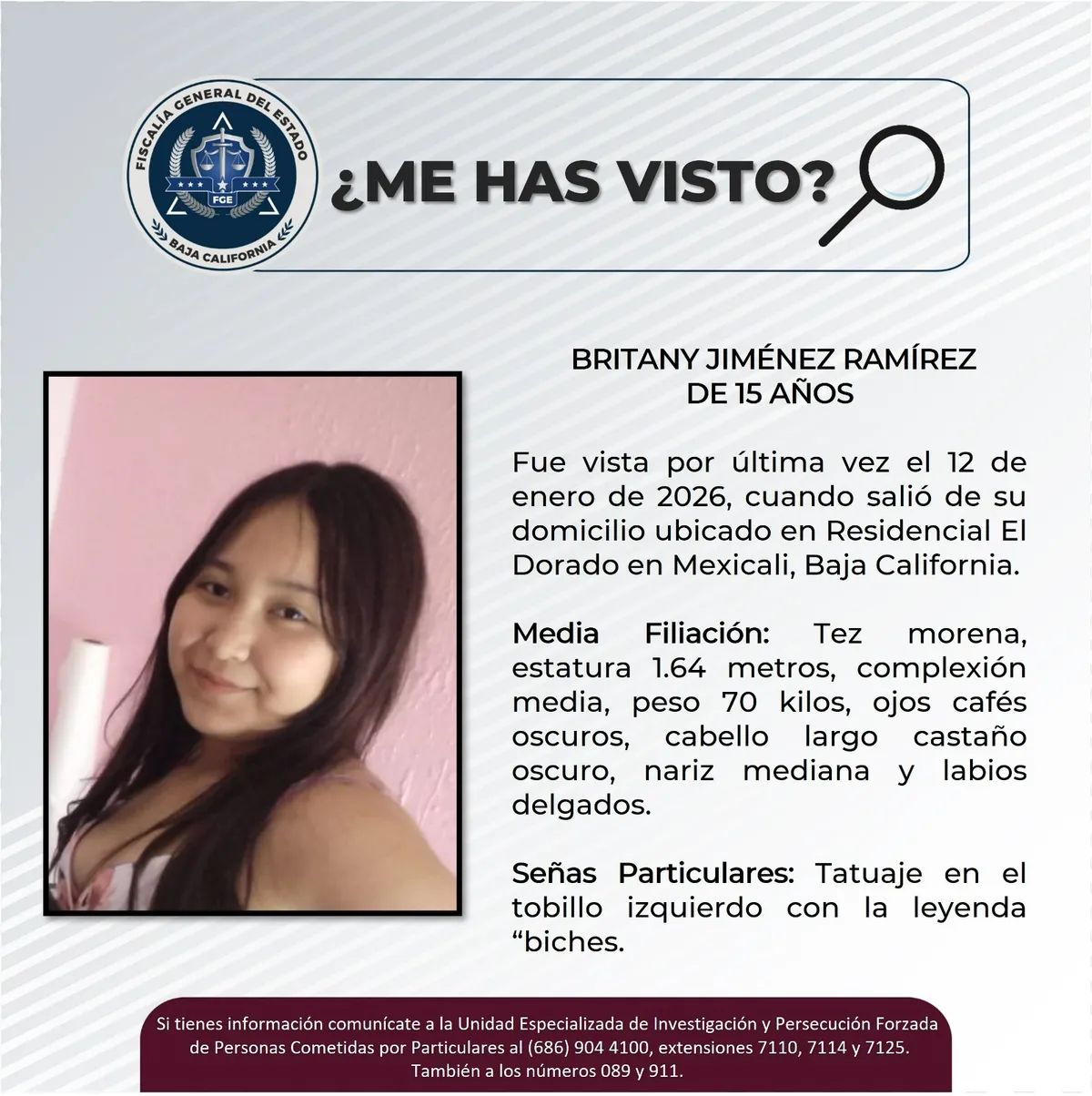 pesquisa_britany_jiménez_ramírez_15