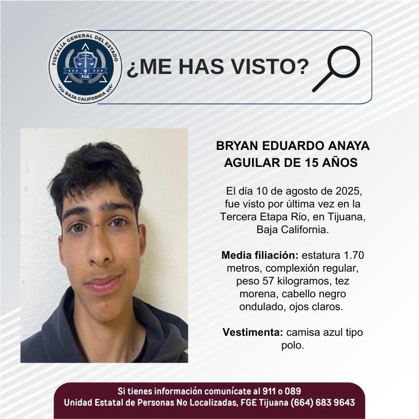 pesquisa_bryan_eduardo_anaya_aguilar_15
