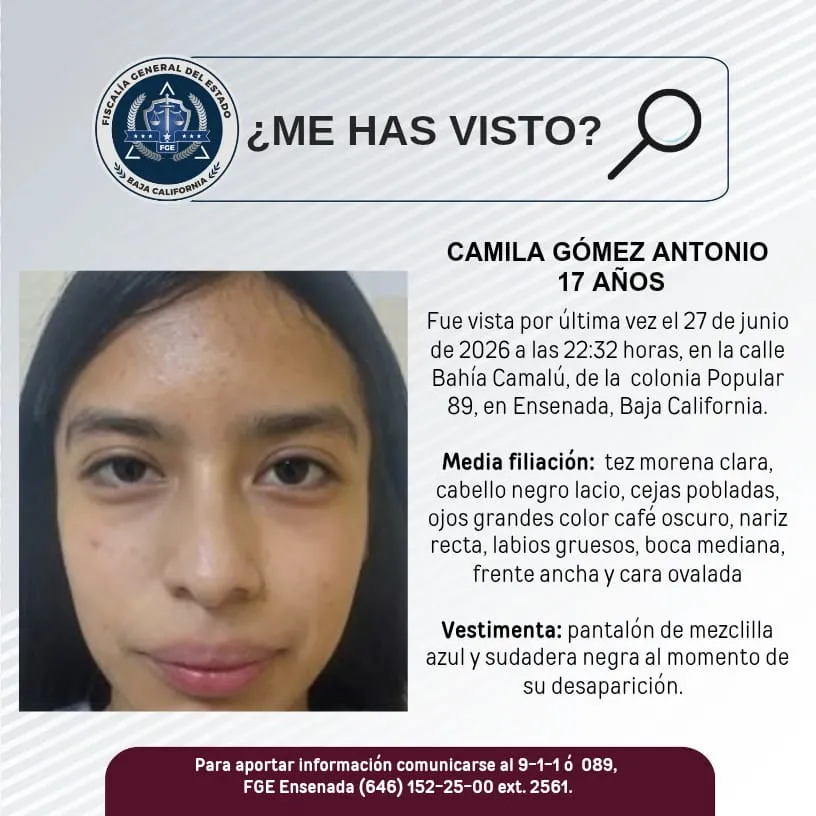 pesquisa_camila_gómez_antonio_17