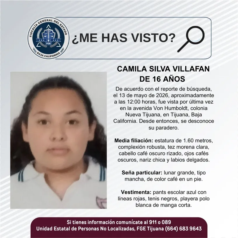 pesquisa_camila_silva_villafan_16
