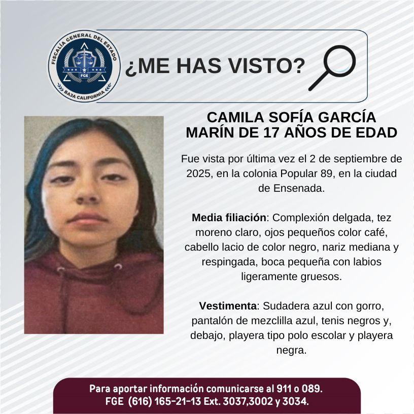 pesquisa_camila_sofía_garcía_marín_17