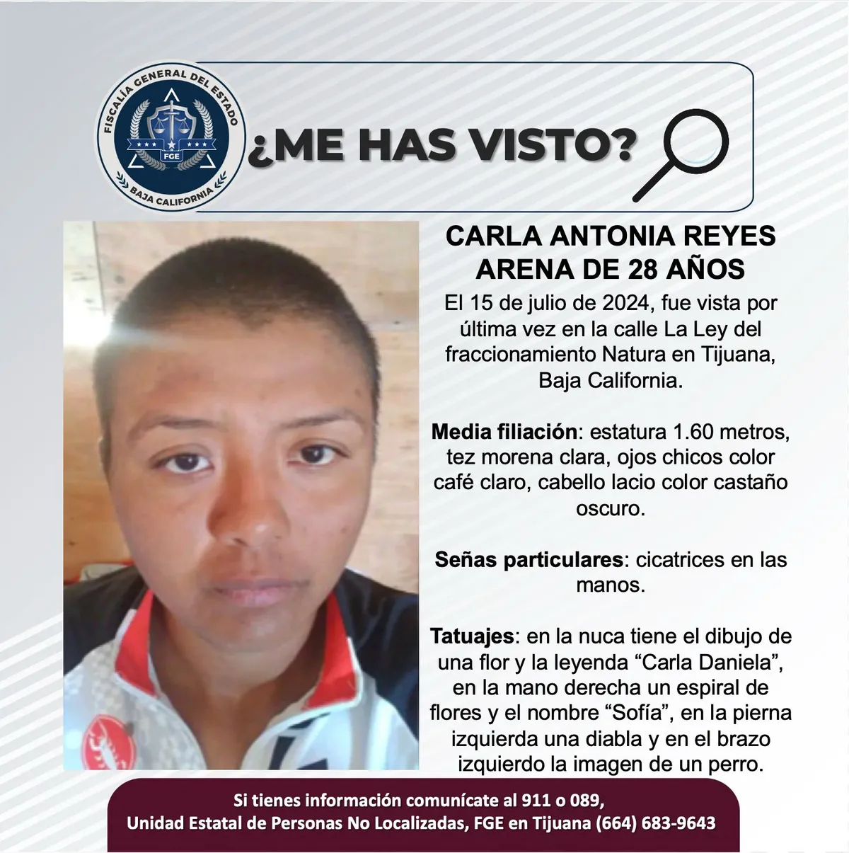 pesquisa_carla_antonia_reyes_arena_28