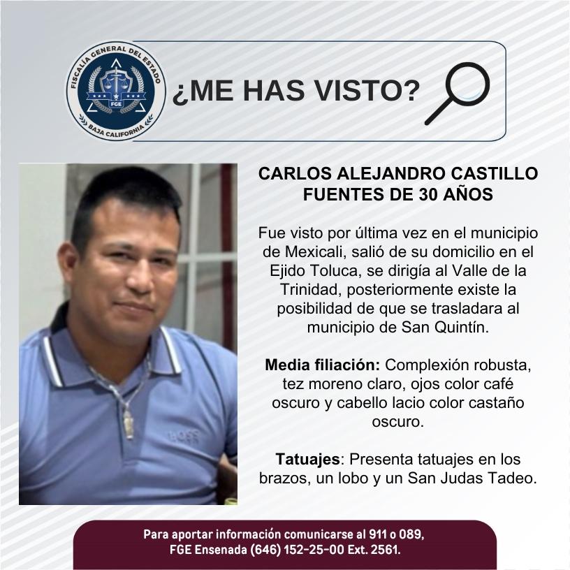 pesquisa_carlos_alejandro_castillo_fuentes_30