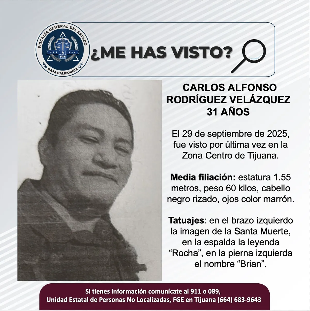 pesquisa_carlos_alfonso_rodríguez_velázquez_31