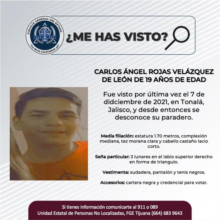 pesquisa_carlos_ángel_rojas_velázquez_de_león_19