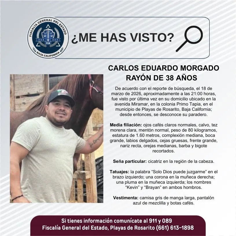 pesquisa_carlos_eduardo_morgado_rayón_38