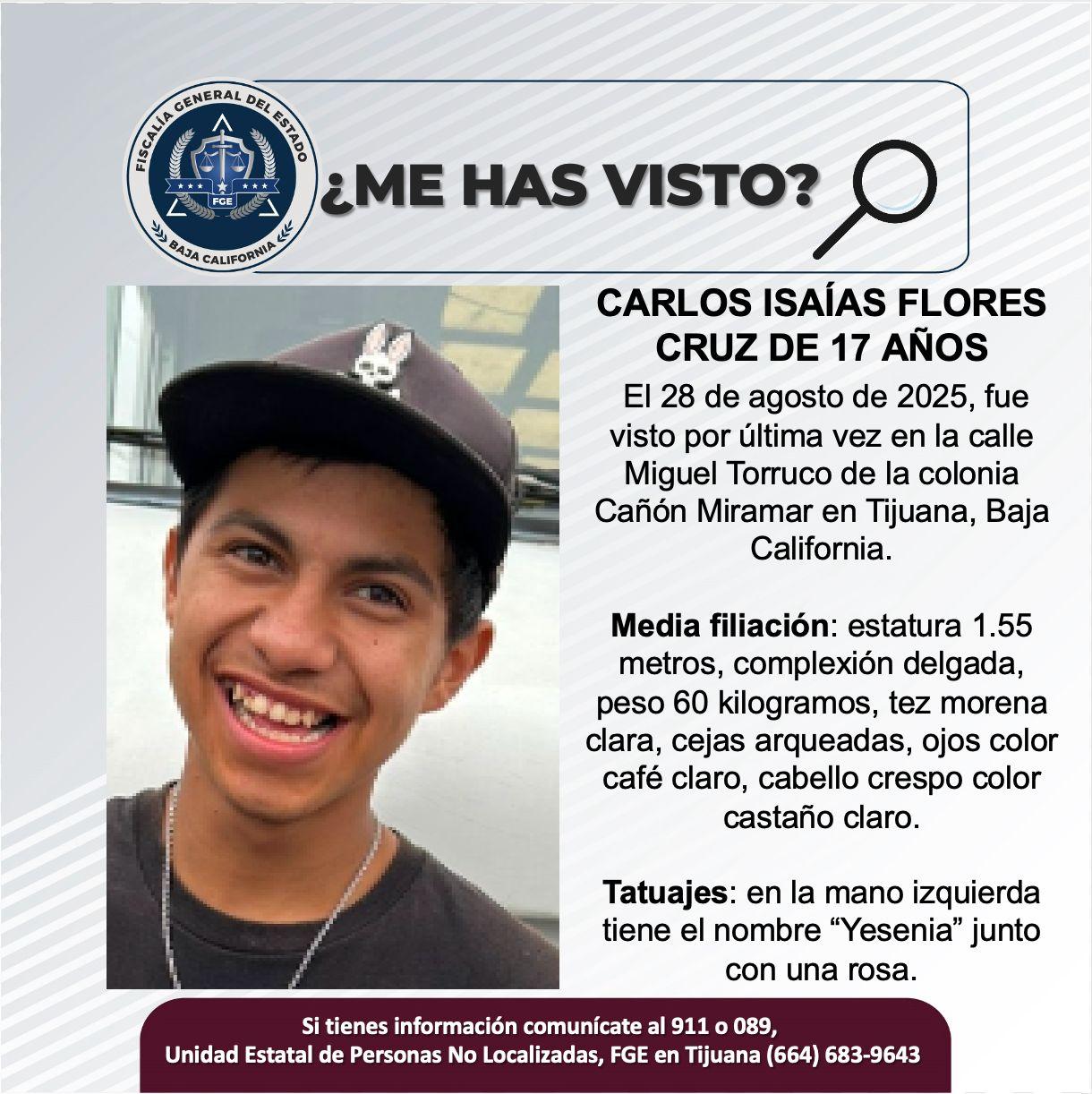 pesquisa_carlos_isaías_flores_cruz_17