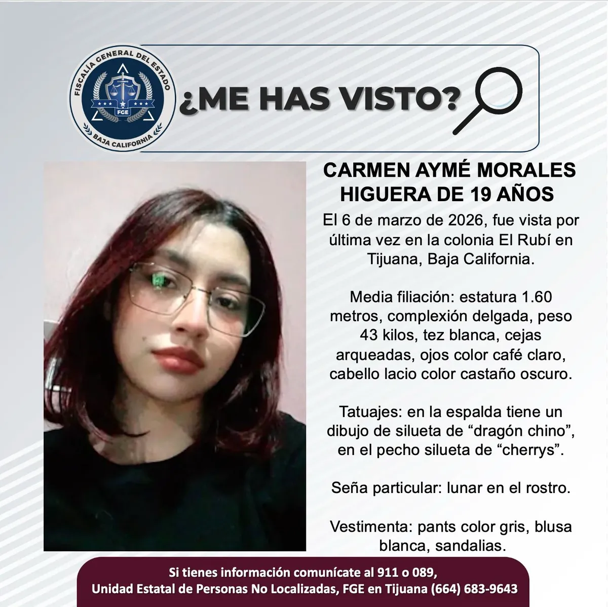 pesquisa_carmen_aymé_morales_higuera_19