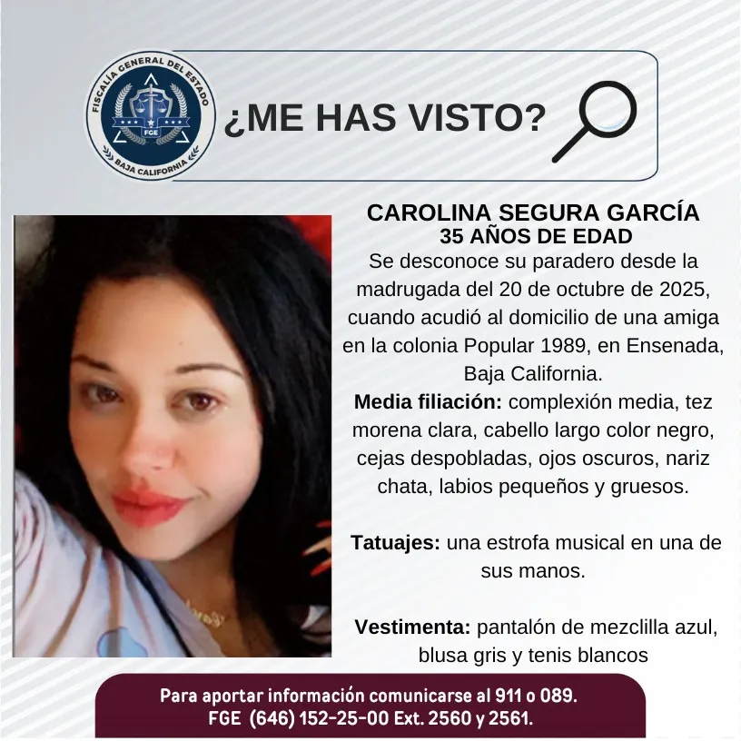 pesquisa_carolina_segura_garcía_35