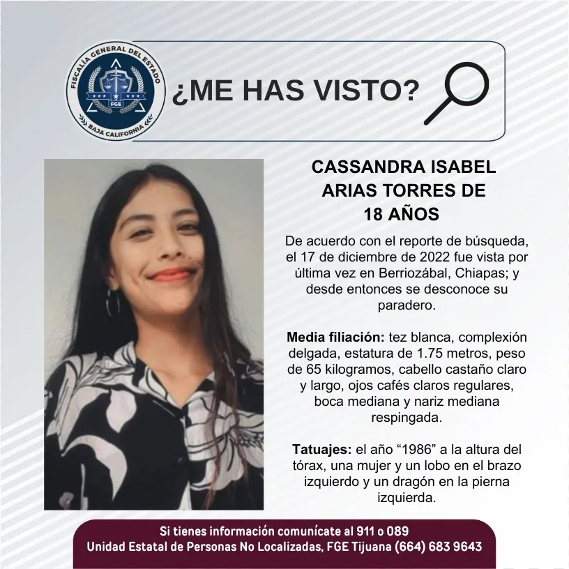 pesquisa_cassandra_isabel_arias_torres_18