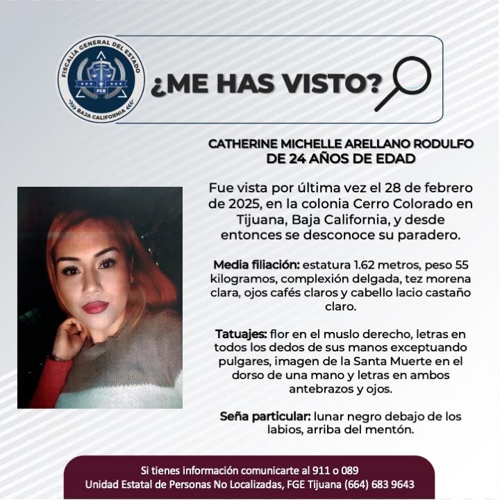 pesquisa_catherine_michelle_arellano_rodulfo_24