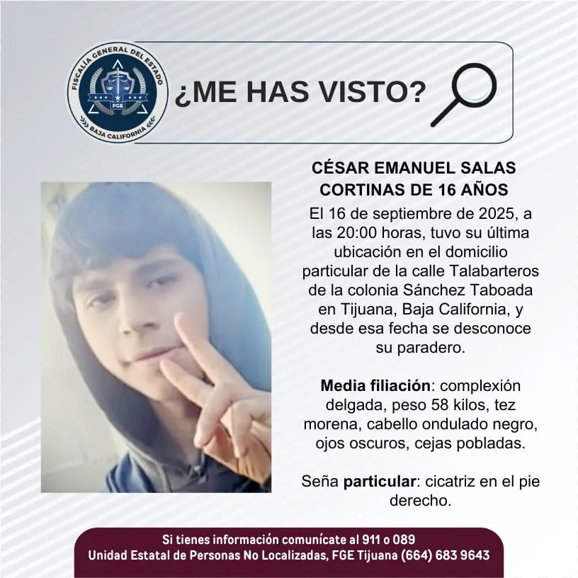 pesquisa_césar_emanuel_salas_cortinas_16