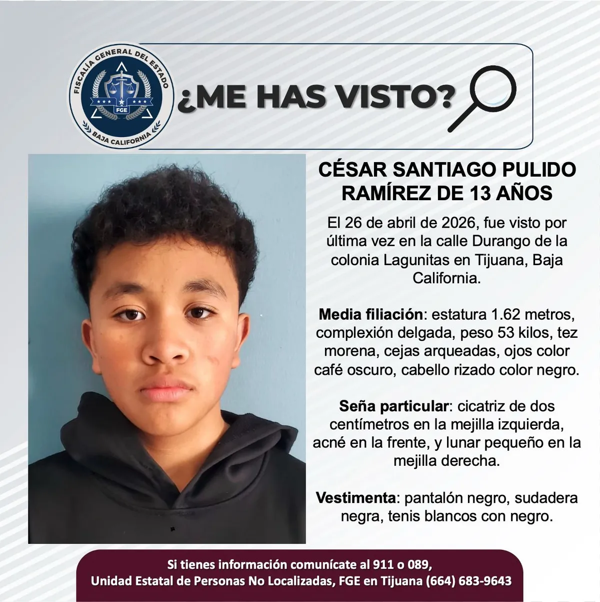 pesquisa_césar_santiago_pulido_ramírez_13