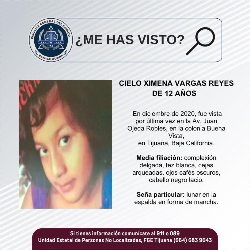 pesquisa_cielo_ximena_vargas_reyes_12
