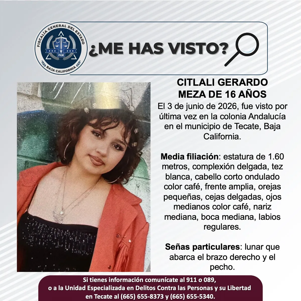 pesquisa_citlali_gerardo_meza_16