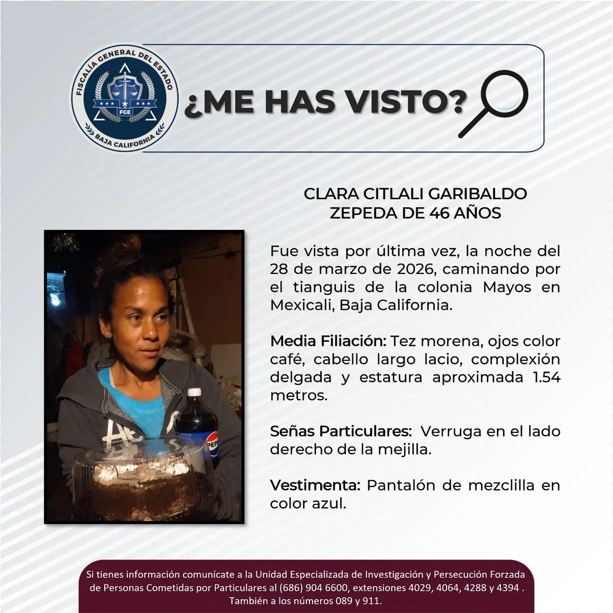 pesquisa_clara_citlali_garibaldo_zepeda_46
