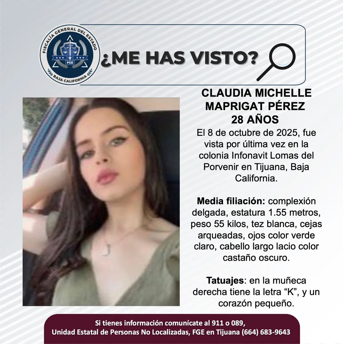 pesquisa_claudia_michelle_maprigat_pérez_28