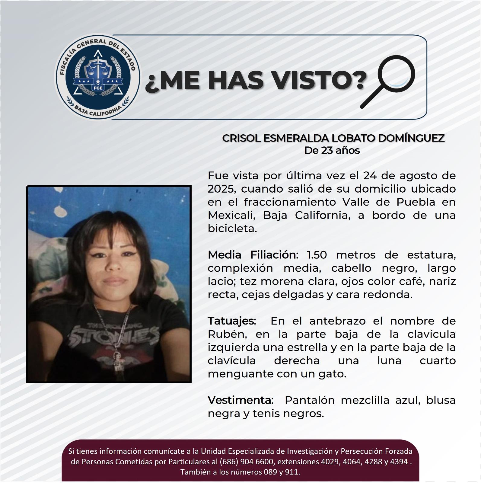 pesquisa_crisol_esmeralda_lobato_domínguez_23