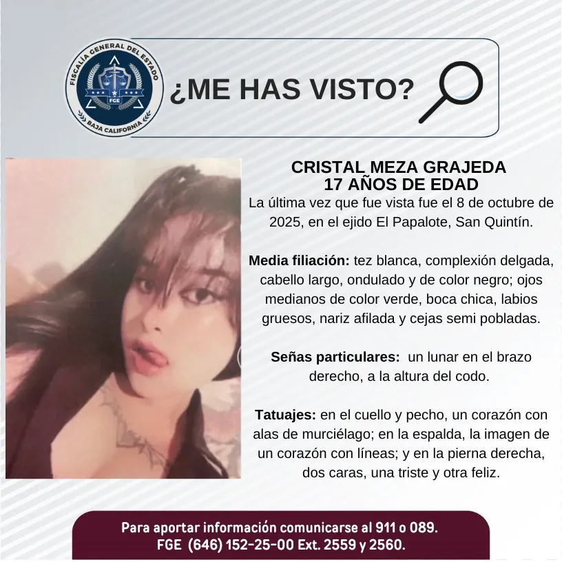 pesquisa_cristal_meza_grajeda_17