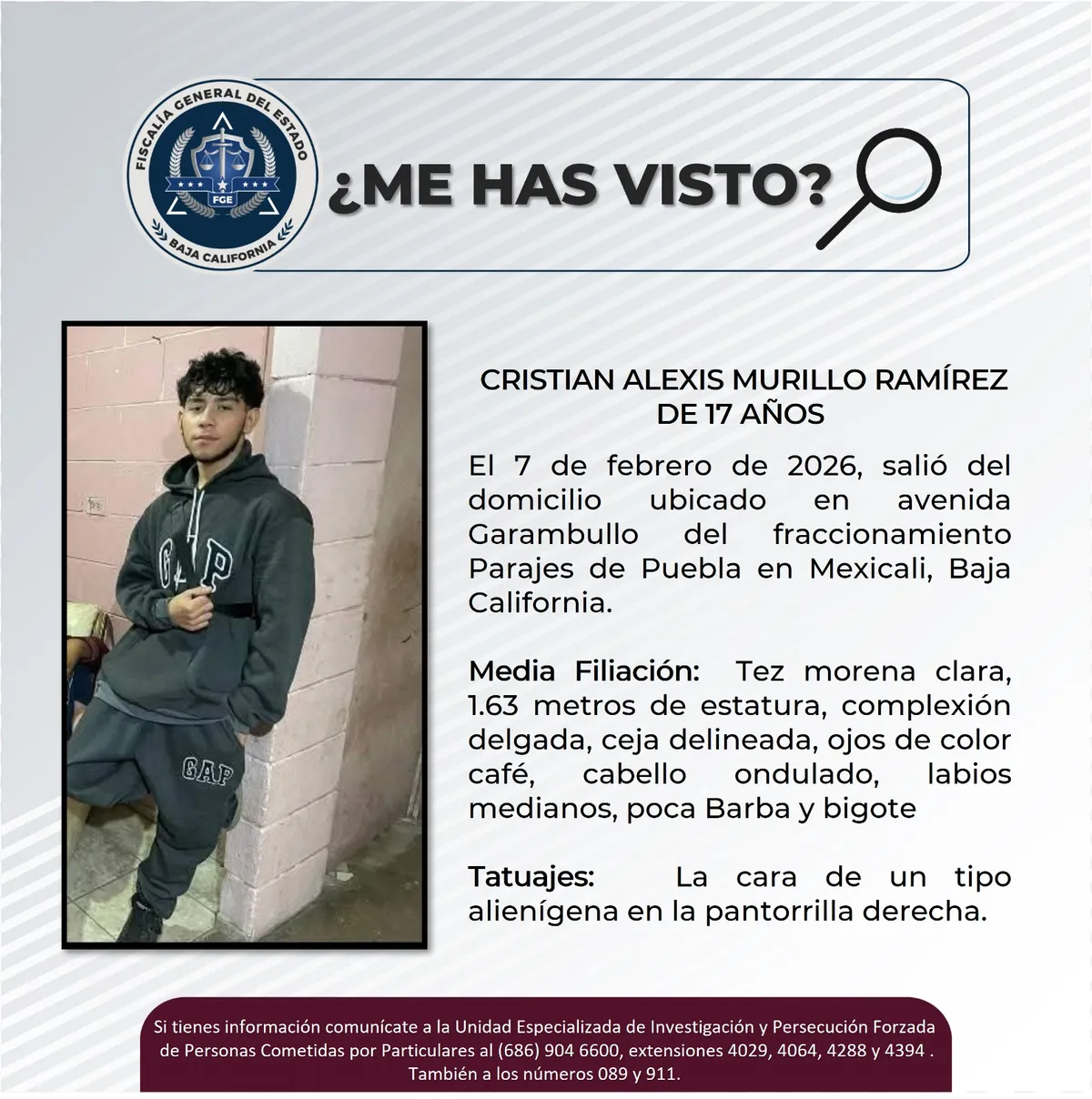 pesquisa_cristian_alexis_murillo_ramírez_17