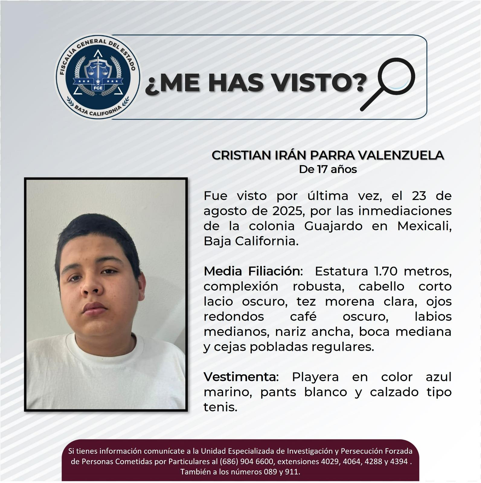 pesquisa_cristian_irán_parra_valenzuela_17