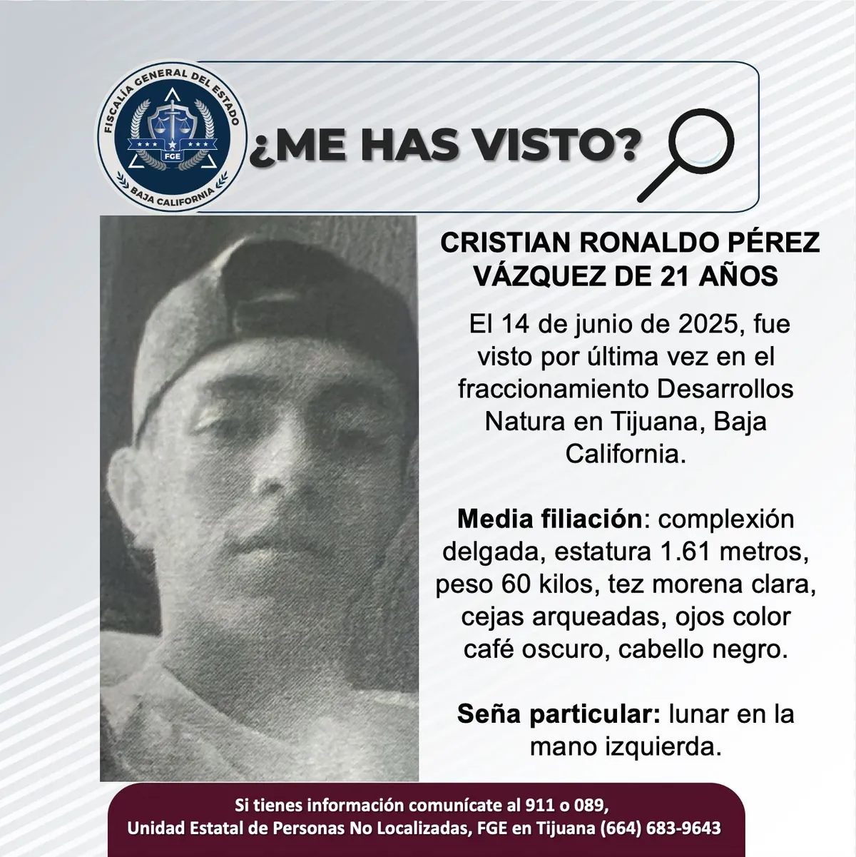 pesquisa_cristian_ronaldo_pérez_vázquez_21