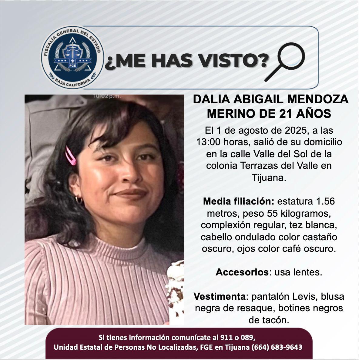 pesquisa_dalia_abigail_mendoza_merino_21