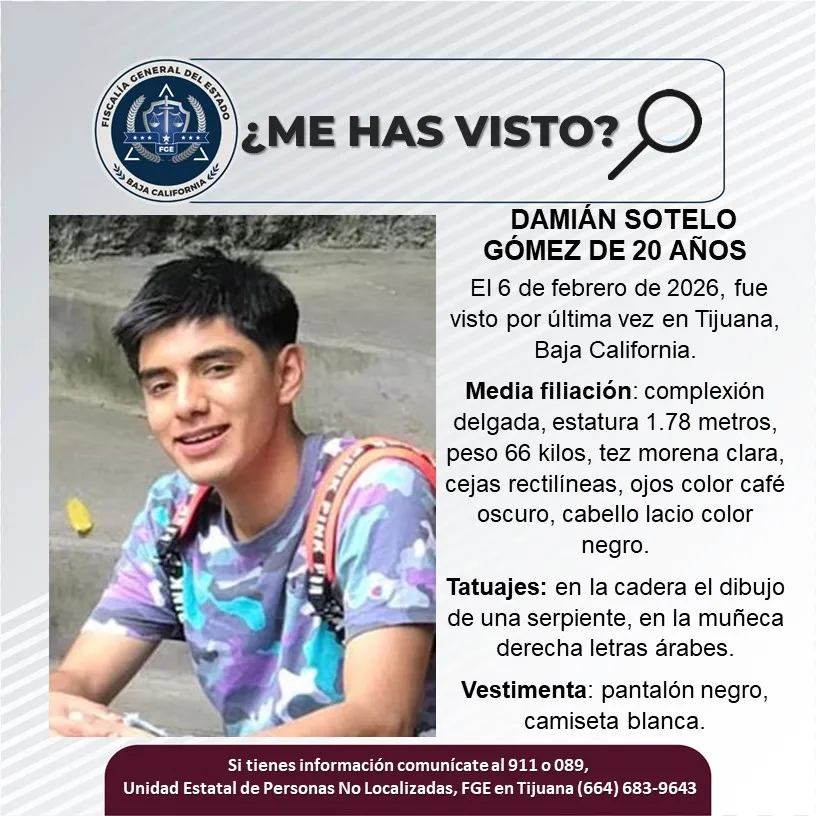 pesquisa_damián_sotelo_gómez_20