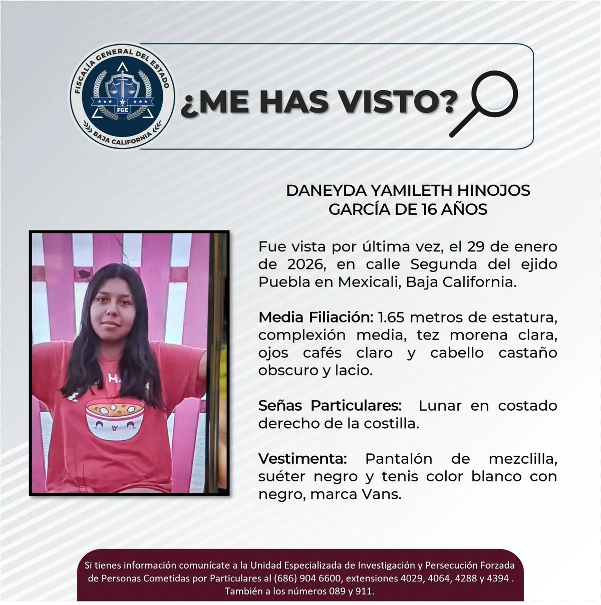 pesquisa_daneyda_yamileth_hinojos_garcía_16