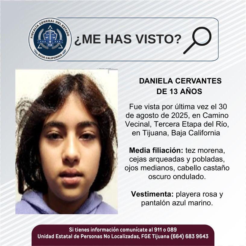 pesquisa_daniela_cervantes_13