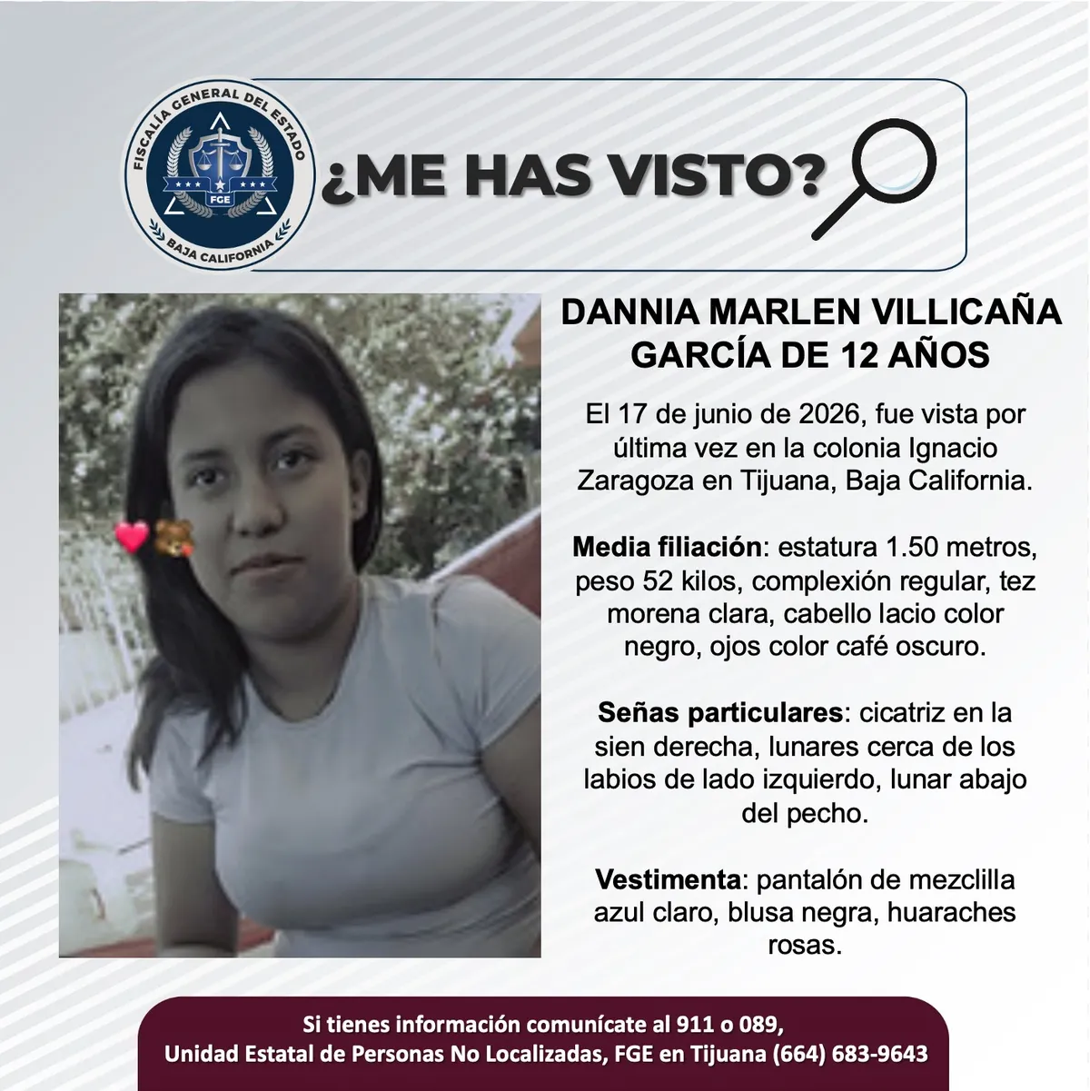 pesquisa_dannia_marlen_villicaña_garcía_12