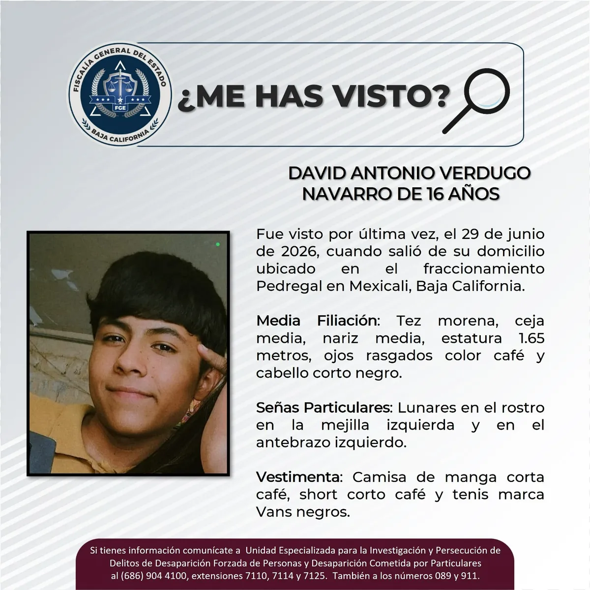 pesquisa_david_antonio_verdugo_navarro_16