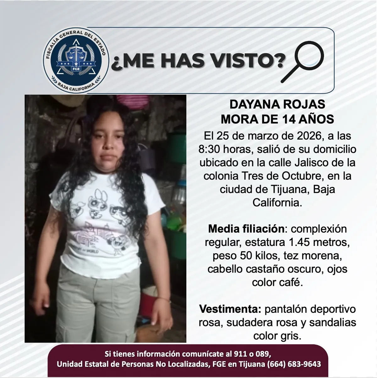 pesquisa_dayana_rojas_mora_14