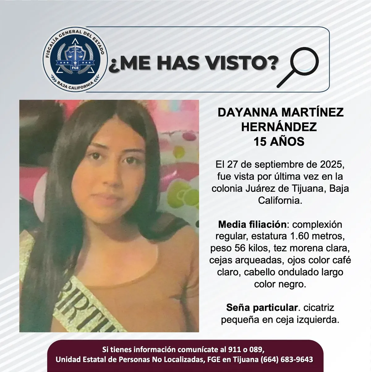 pesquisa_dayanna_martínez_hernández_15