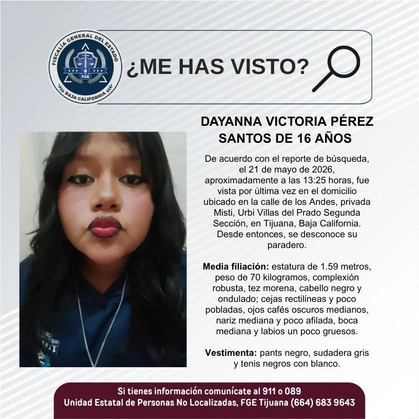 pesquisa_dayanna_victoria_pérez_santos_16