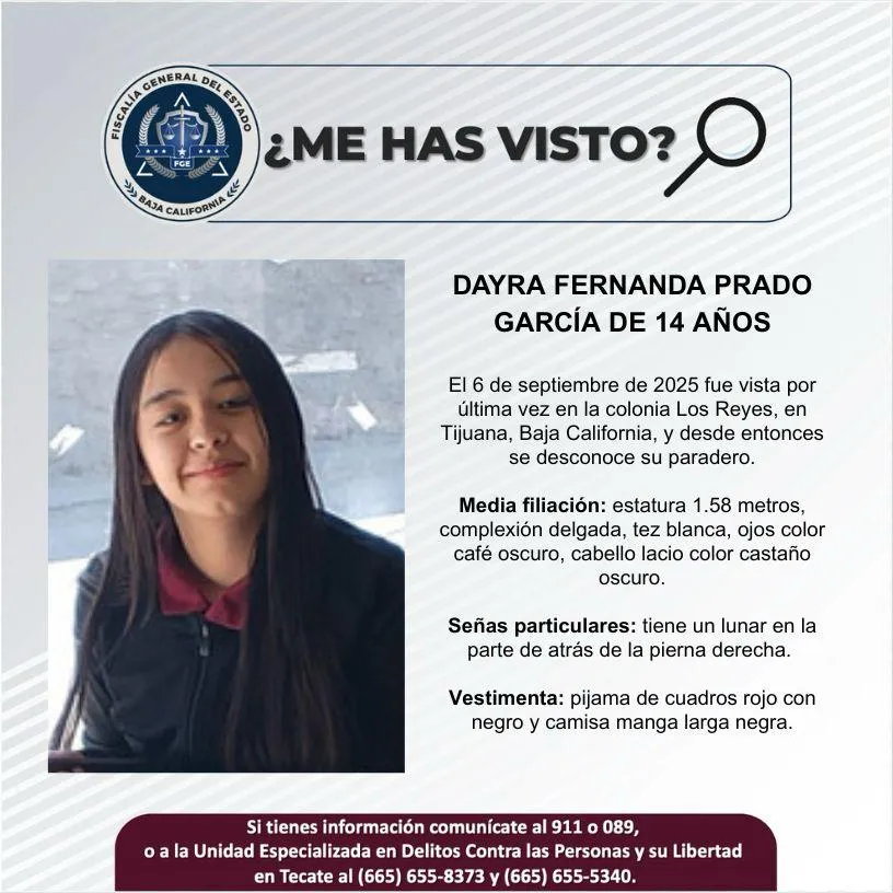 pesquisa_dayra_fernanda_prado_garcía_14