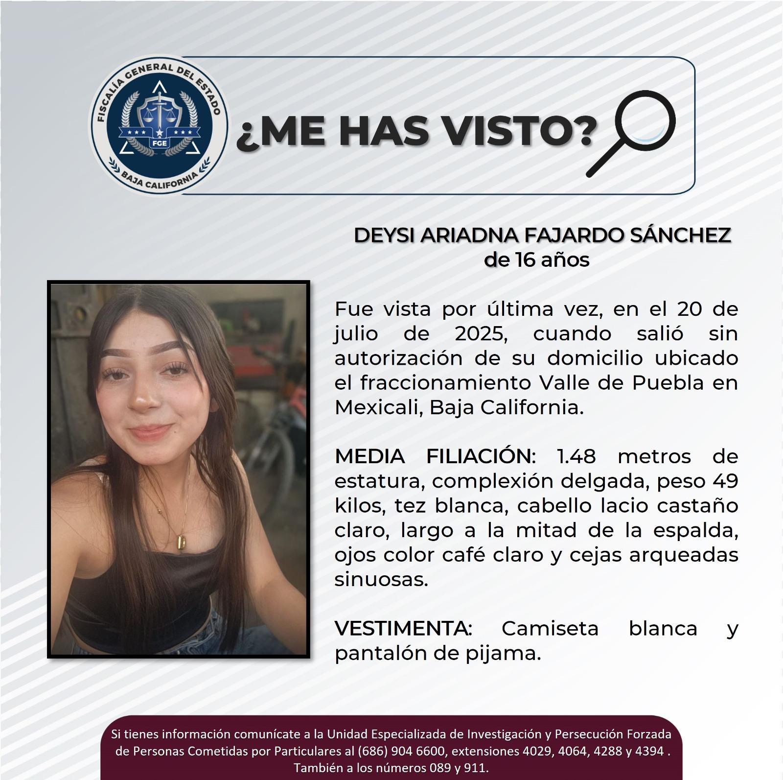 pesquisa_deysi_ariadna_fajardo_sánchez_16