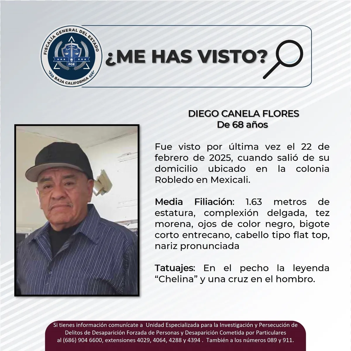 pesquisa_diego_canela_flores_68