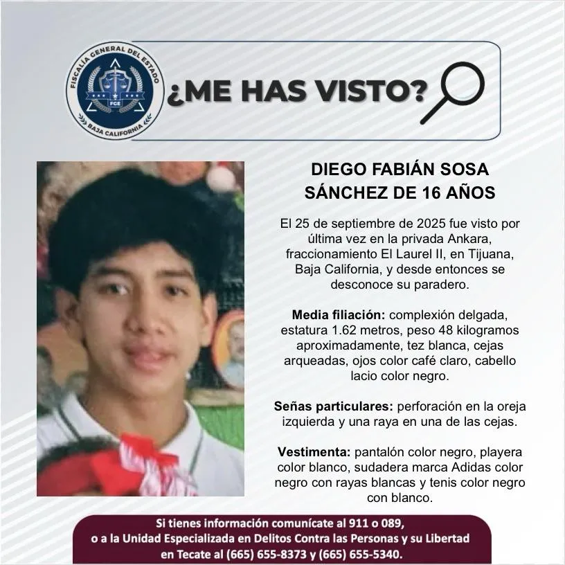 pesquisa_diego_fabián_sosa_sánchez_16