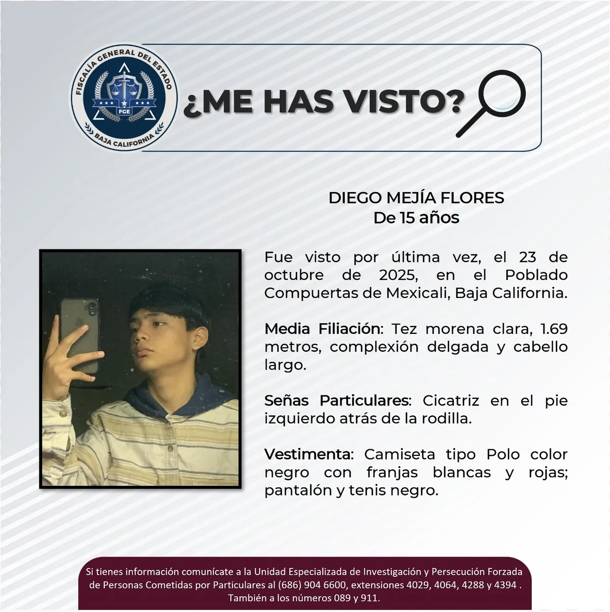 pesquisa_diego_mejía_flores_15