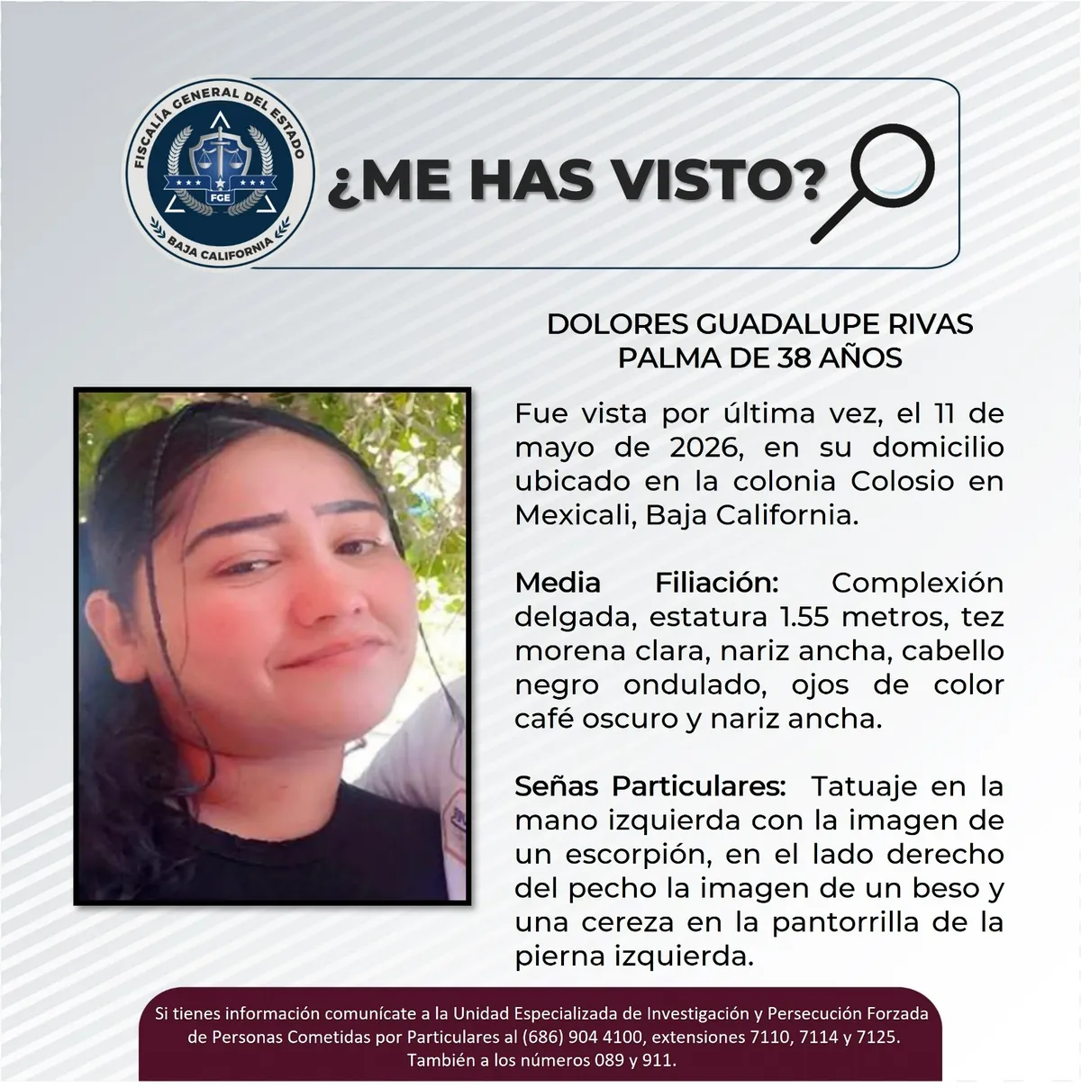 pesquisa_dolores_guadalupe_rivas_palma_38