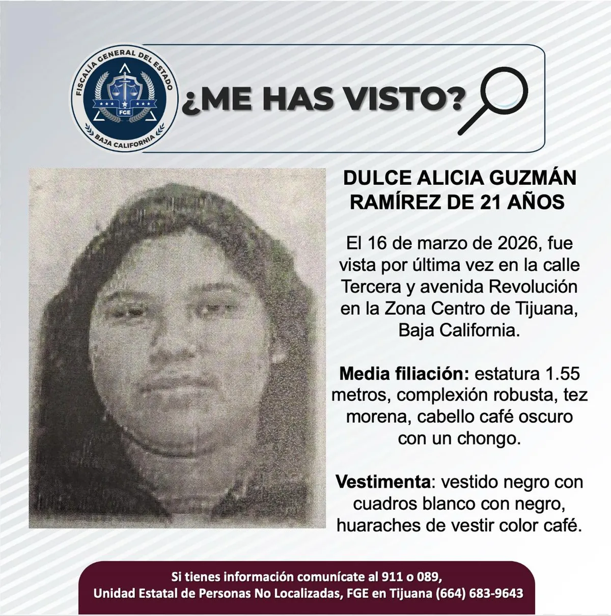 pesquisa_dulce_alicia_guzmán_ramírez_21